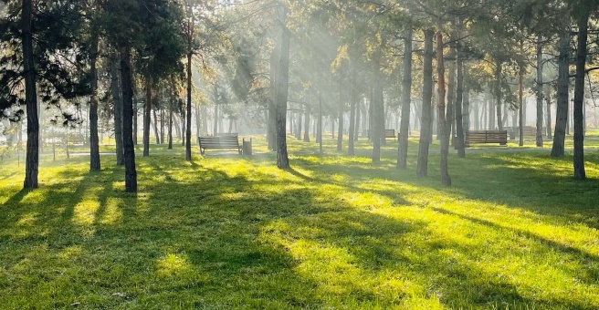 Гульдер парк