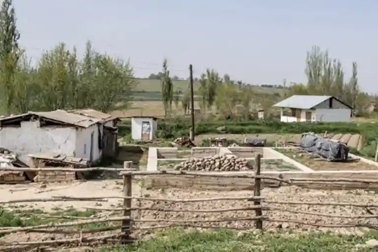 Субсидии