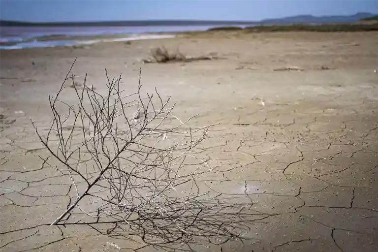 Сухая земля