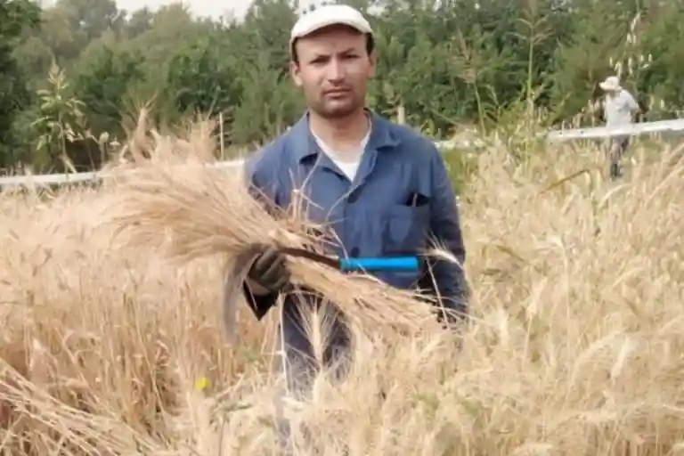 ТДЖ 3