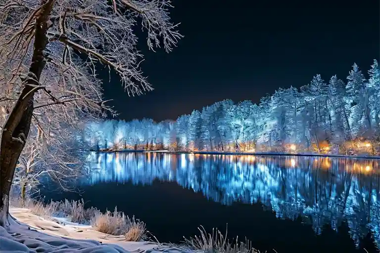 Яркий, снежный лес