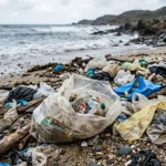 Мусор на берегу