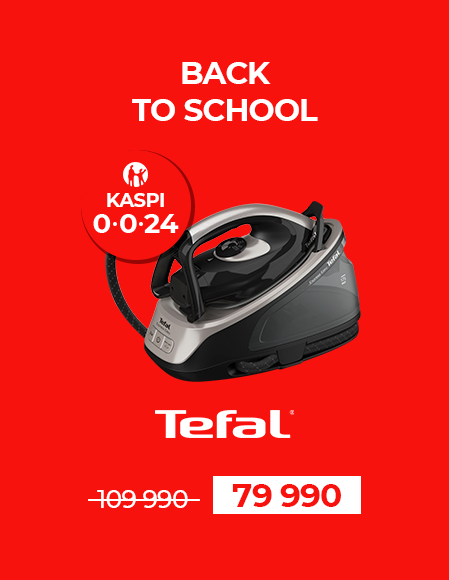 0024 BTS Tefal Express Easy SV6140E0