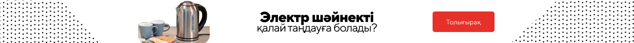 Электр шәйнекті қалай таңдауға болады?