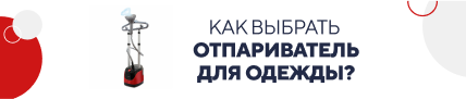 Как выбрать отпариватель для одежды (5832)