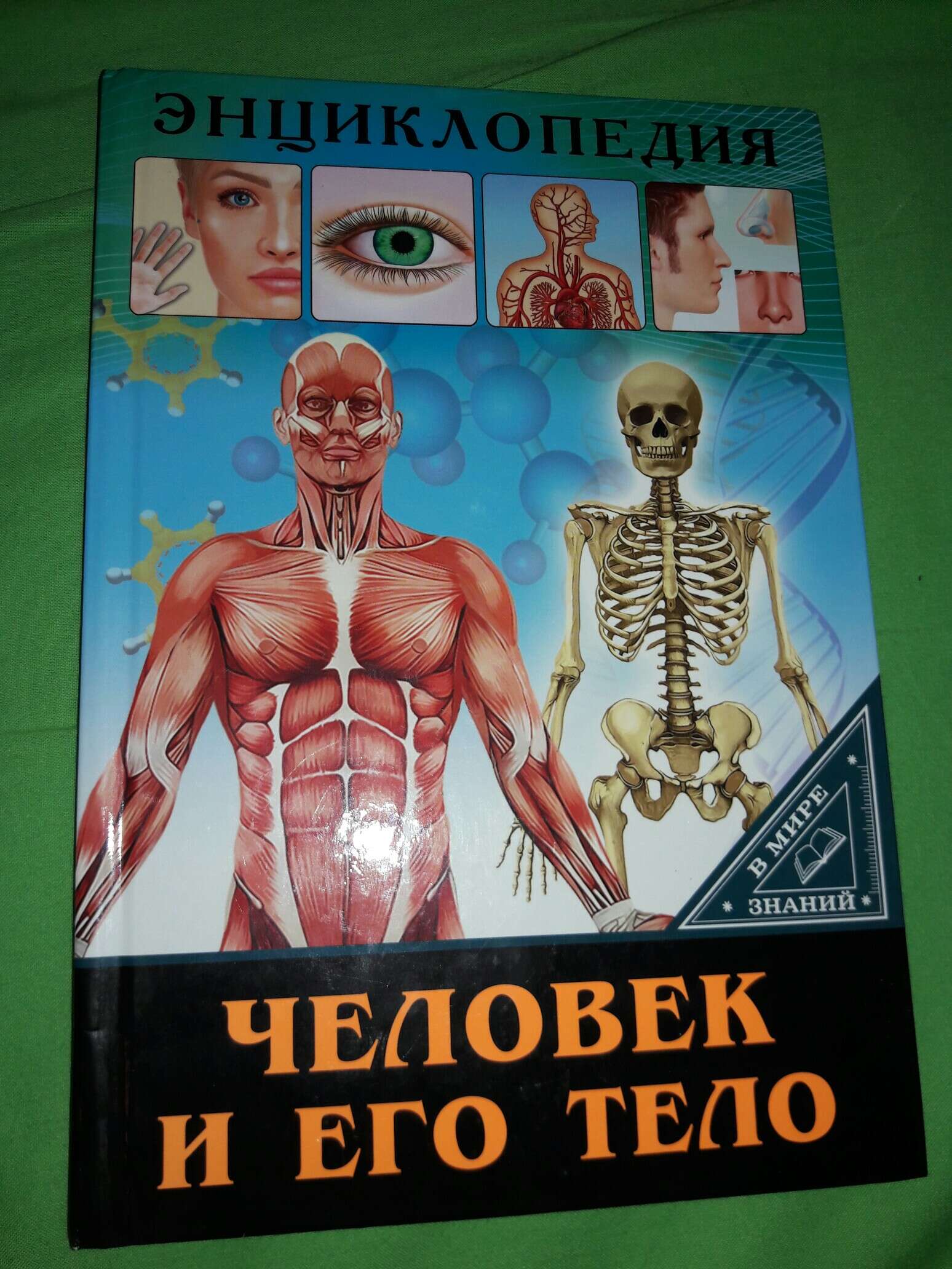 Книга энциклопедия человек