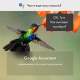 LED телевизор Haier 43 S1 - фото 18