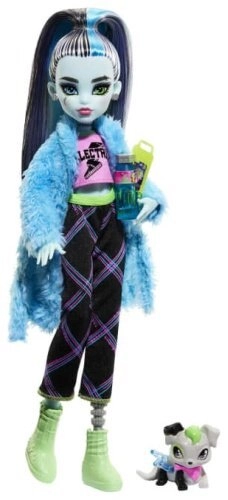 Кукла-модель Monster High Френки Штейн HKY68, 28 см, мультиколор 
