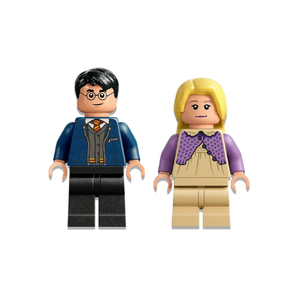 LEGO  конструкторы Harry Potter Hogwarts Күйме және Тестралдар (76400) / 121 деталь