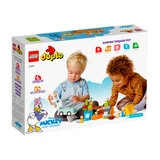 Конструктор LEGO Duplo Disney Микки и его друзья. Приключения на природе 10997 / 37 деталей - фото 5