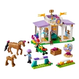 Конструктор Lego Friends Тренировка лошади 41746 / 134 деталей