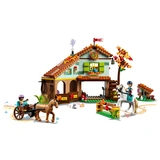 Конструктор Lego Friends Конюшня Отом 41745 / 545 деталей - фото 2