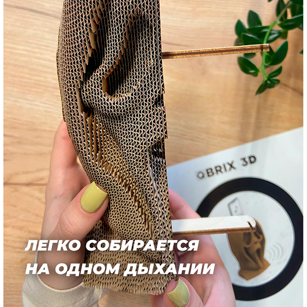 Картонный конструктор QBRIX 20009 - фото 3