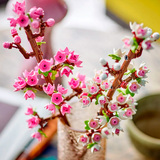 Конструктор Lego 40725 Iconic Цветущая вишня - фото 8