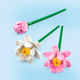 Конструктор Lego 40647 Lego Iconic Цветы Лотоса