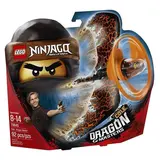 Конструктор Lego Ninjago Мастер дракона 70645