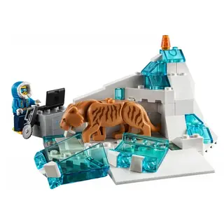 Конструктор Lego Арктический грузовой самолёт CITY 60196