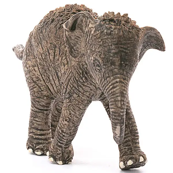 Фигурка Schleich Азиатский слон, детеныш - фото 2