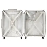 Delsey Carlit 66 (00344581005H9) - фото 3