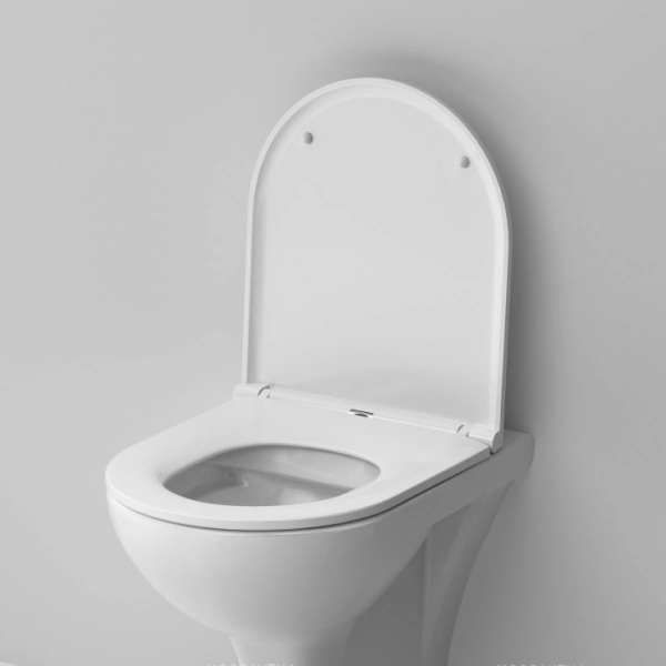 Система инсталляции с унитазом AM.PM ProC L (IS70101.901700) - фото 5