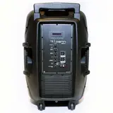 Портативная акустическая система Denn DBS815 - фото 4