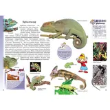 Детская книга Аруна Жануарлар әлемі (Мир животных) - фото 3