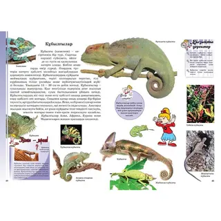 Детская книга Аруна Жануарлар әлемі (Мир животных)