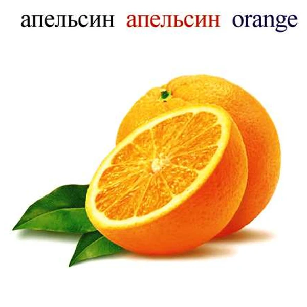 Детская книга Аруна Жеміс-жидек/Фрукты и ягоды/Friuts and berries - фото 3