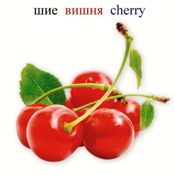 Детская книга Аруна Жеміс-жидек/Фрукты и ягоды/Friuts and berries - фото 4