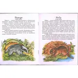 Аруна Животные Казахстана (Удивительный мир) - фото 2