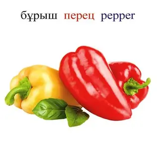 Аруна Көкөністер / Овощи / Vegetables