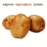 Аруна Көкөністер / Овощи / Vegetables - фото 4