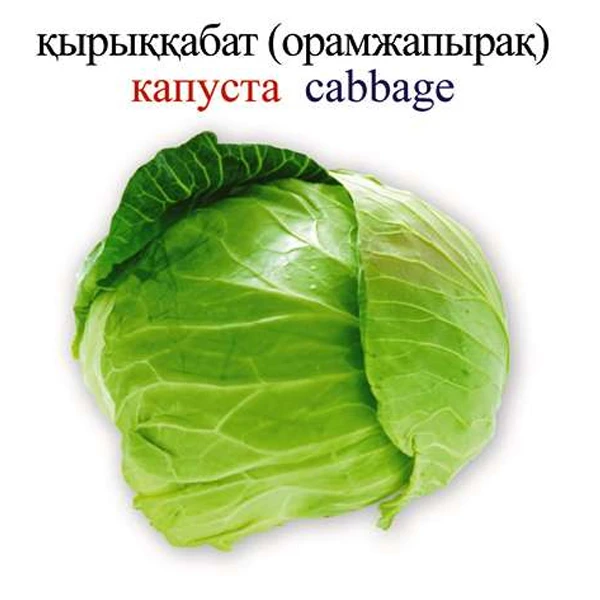 Аруна Көкөністер / Овощи / Vegetables - фото 2