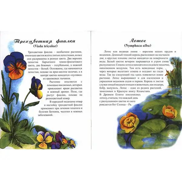 Детская книга Аруна Растения Казахстана (удивительный мир) - фото 2