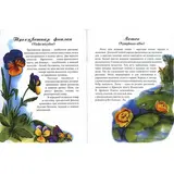 Детская книга Аруна Растения Казахстана (удивительный мир) - фото 2