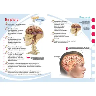 Детская книга Аруна Адам анатомиясы (Анатомия человека)