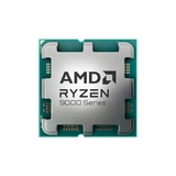 Процессор (CPU) AMD Ryzen 9 9900X 120W AM5 