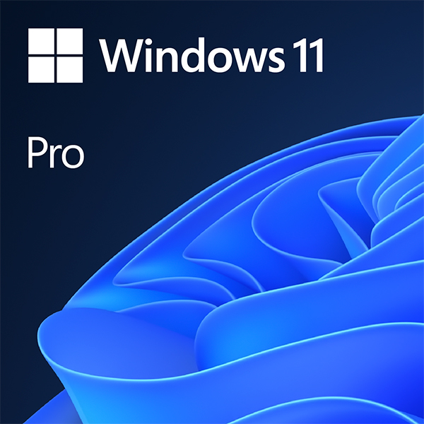 Microsoft электрондық кілті Windows Pro 11 (1 құрылғы) ESD