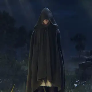 Игра для консоли Sony PlayStation 4 Elden Ring