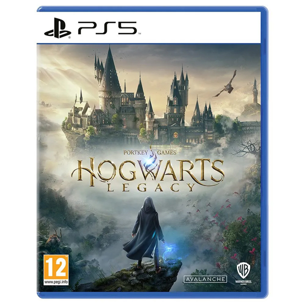 Игра для консоли Sony PlayStation 5 Hogwarts Legacy