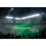 Игра для консоли Sony PlayStation 4 FC 25 - фото 2