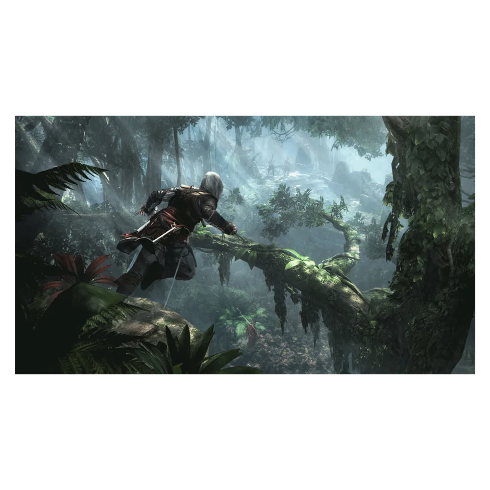 Игра для консоли Sony / PS4 Assassin's Creed IV Black Flag - фото 5