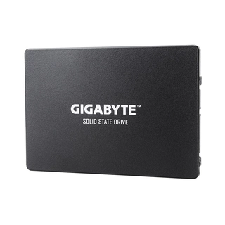Твердотельный накопитель внутренний Gigabyte GSTFS31240GNTD 