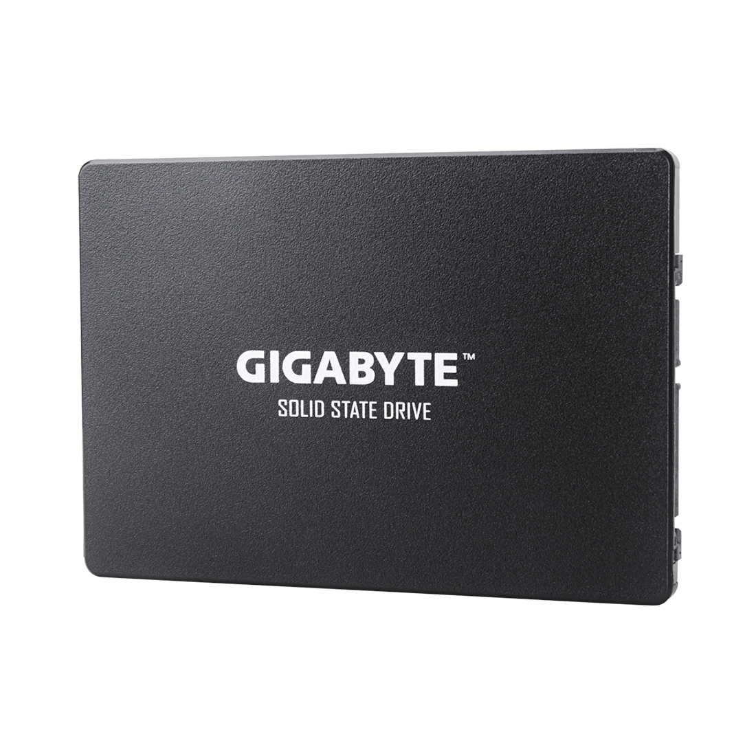 Твердотельный накопитель внутренний Gigabyte GSTFS31256GTND  Твердотельный накопитель внутренний Gigabyte GSTFS31256GTND