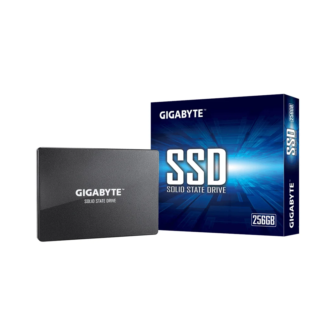 Твердотельный накопитель внутренний Gigabyte GSTFS31256GTND  - фото 3