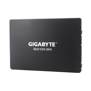 Твердотельный накопитель внутренний Gigabyte GSTFS31256GTND 