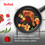 Сковорода Tefal Brut 24 см (4220124) - фото 6