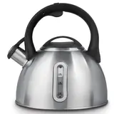 Чайник Polaris Alicante-3LN