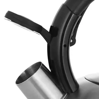 Чайник Rondell Premiere RDS-237