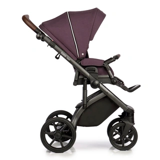 Коляска 2в1 Roan Bass Next Plum
